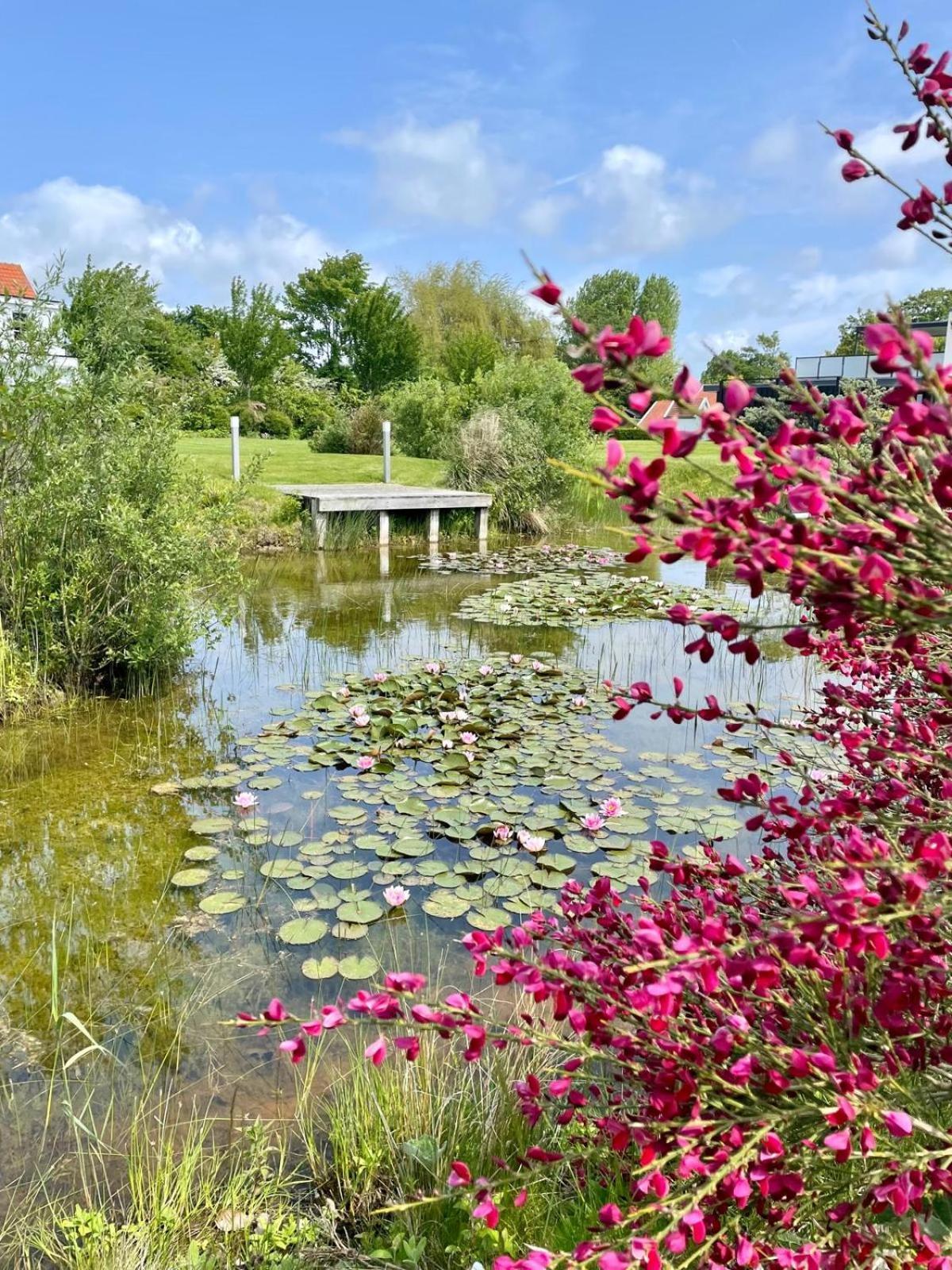 11b Vrouwenpolder